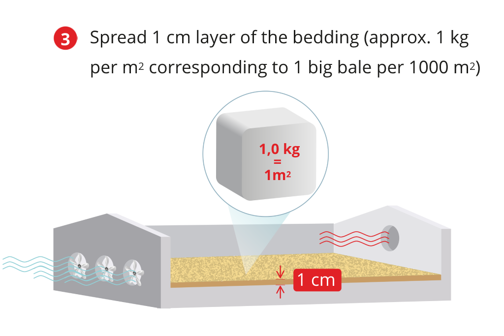 XL Wood Shavings Spanvall