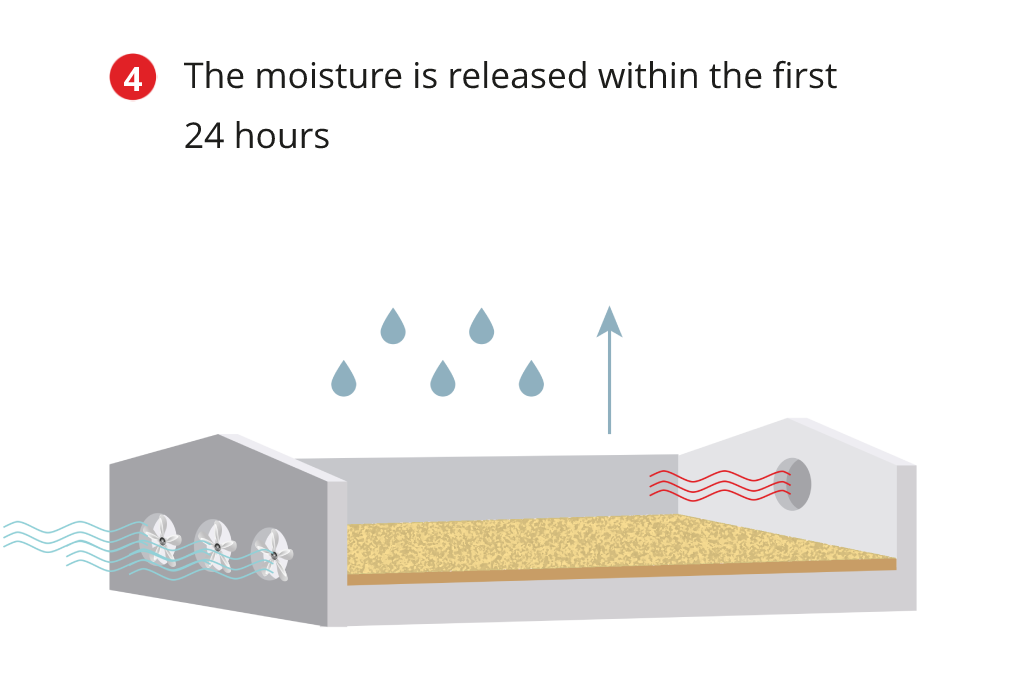 XL Wood Shavings Spanvall