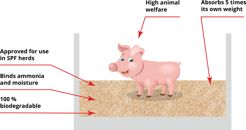 Orange Spanvall Spanvall