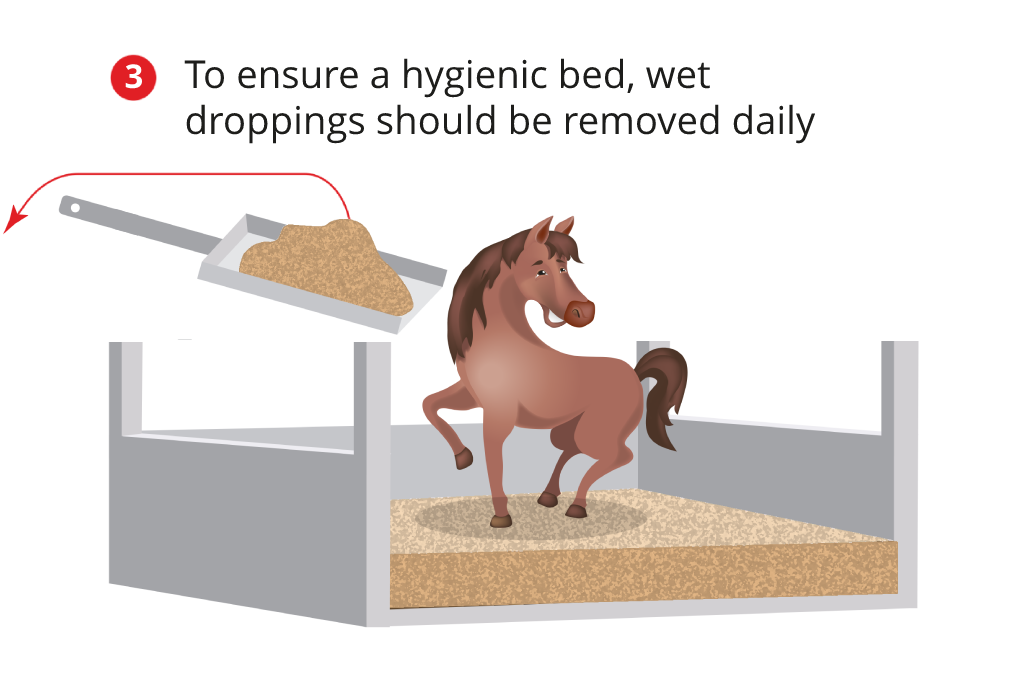 XL Wood Shavings Spanvall